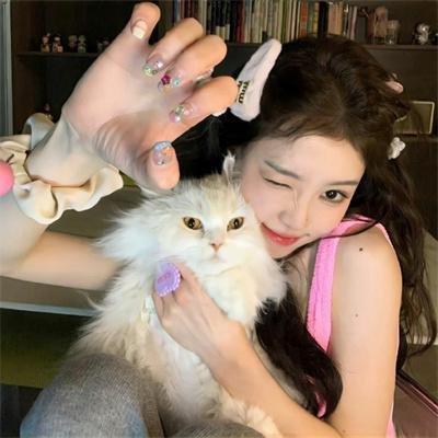 暴力玫瑰在线打工