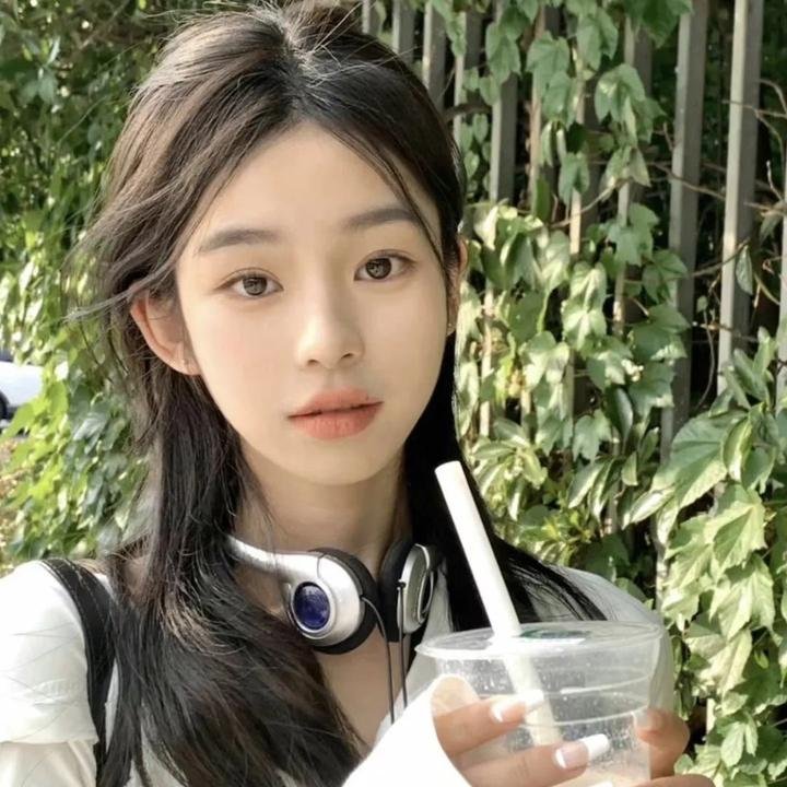 鹿枫堂四色日和